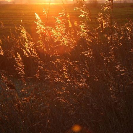 Ferienwohnung-Sonnenmeer Neuharlingersiel Exteriör bild